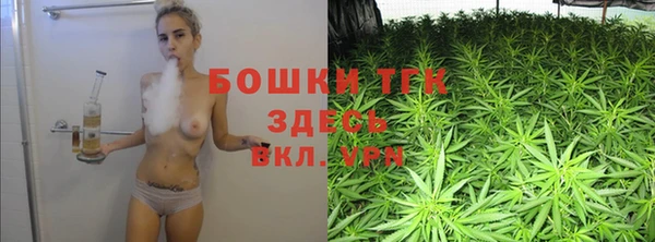 ECSTASY Ельня