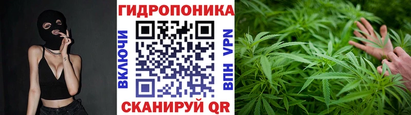 omg tor  Сковородино  Марихуана LSD WEED 
